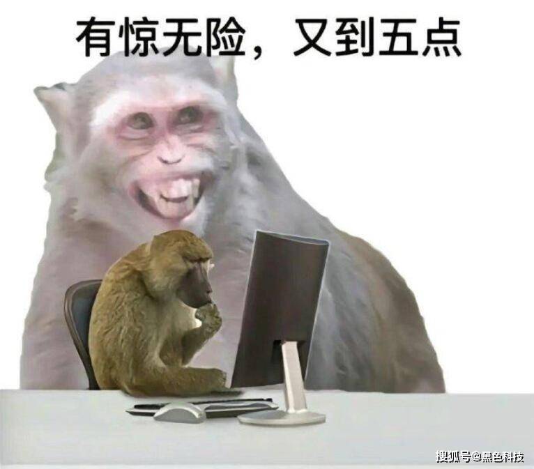 奇特的折纸折完后惊呆了！龙8囯际一网友发现一款